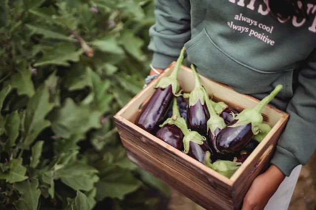 How many Calories are in a Whole Eggplant?